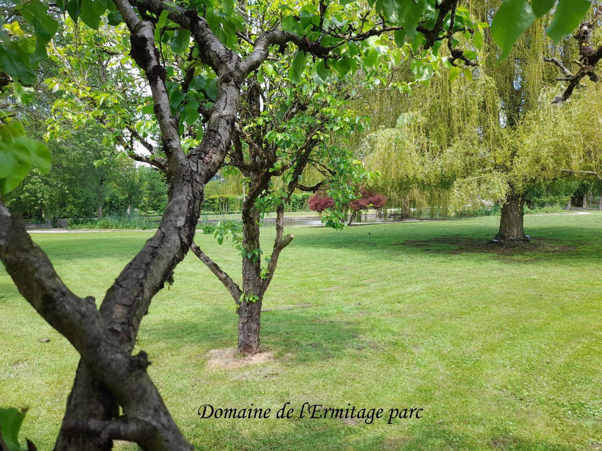 Domaine De L'Ermitage Villa Rue  Dış mekan fotoğraf